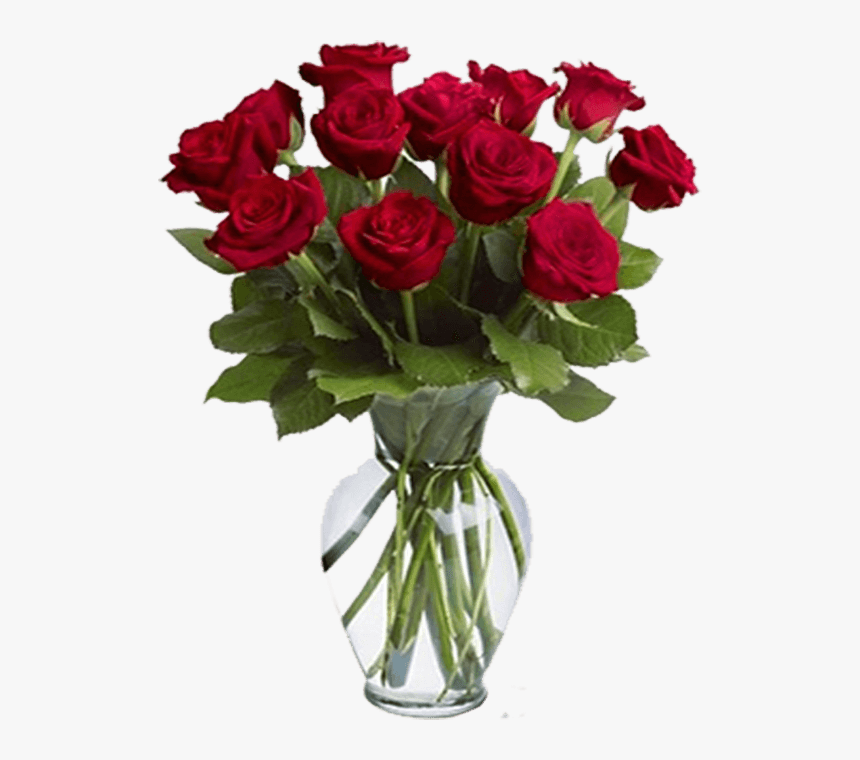 12 Red Roses In A Vase, HD Png Download, Free Download