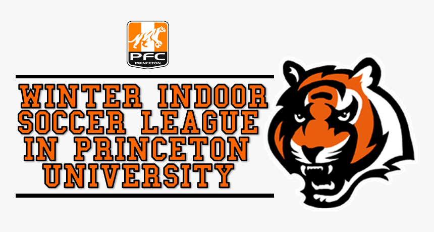 Cincinnati Bengals, HD Png Download, Free Download