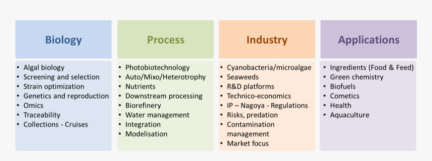 Topics Isap 2017 - Aat, HD Png Download, Free Download