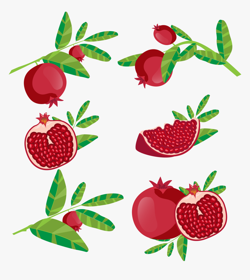 Pomegranate Clipart Branch - Free Vector Pomegranate, HD Png Download, Free Download