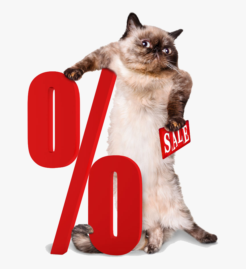 Percentage Png Clipart - Cat With Suitcase, Transparent Png, Free Download