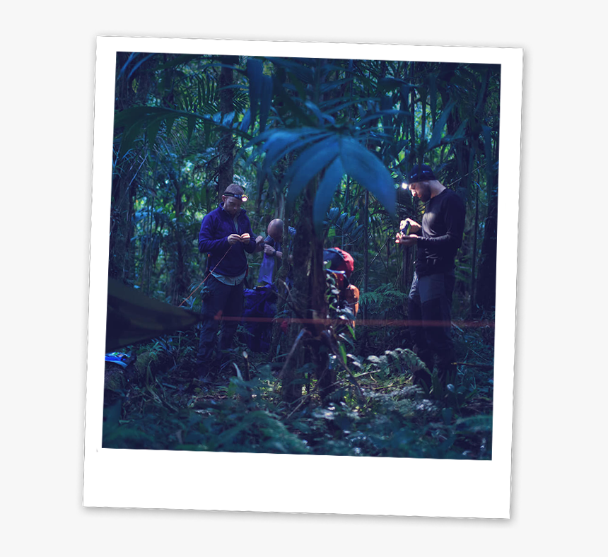 Picture Frame, HD Png Download, Free Download