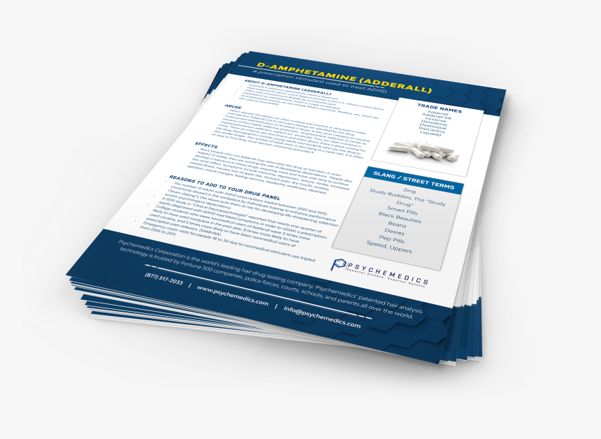 Brochure, HD Png Download, Free Download