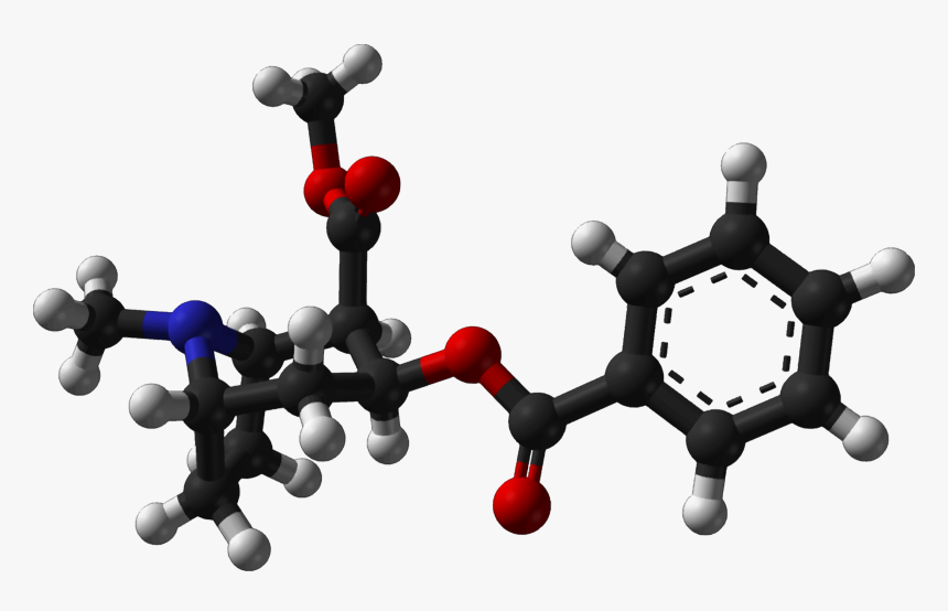 Cocaine From Xtal 1983 3d Balls - Cocaine Chemical Structure 3d, HD Png Download, Free Download