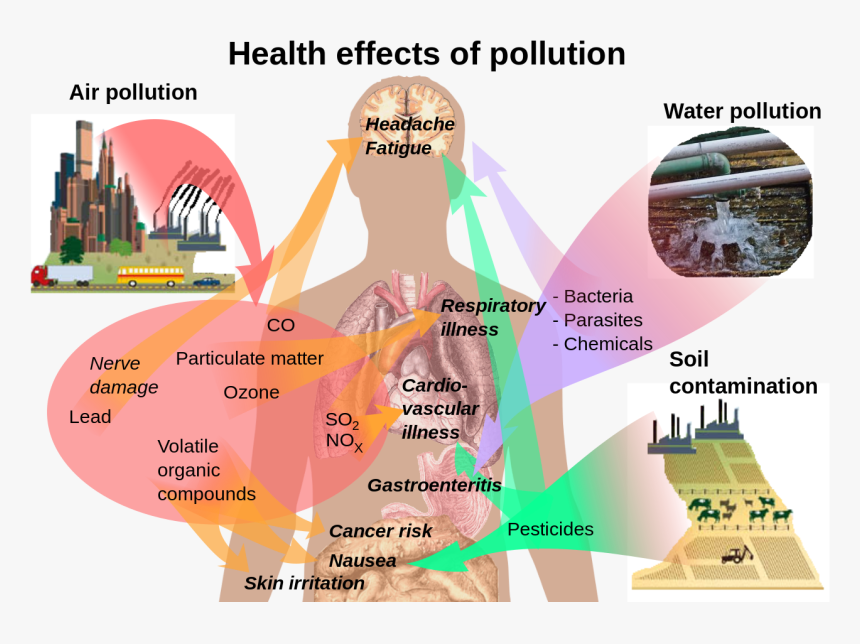 Health Effects Of Pollution, HD Png Download, Free Download