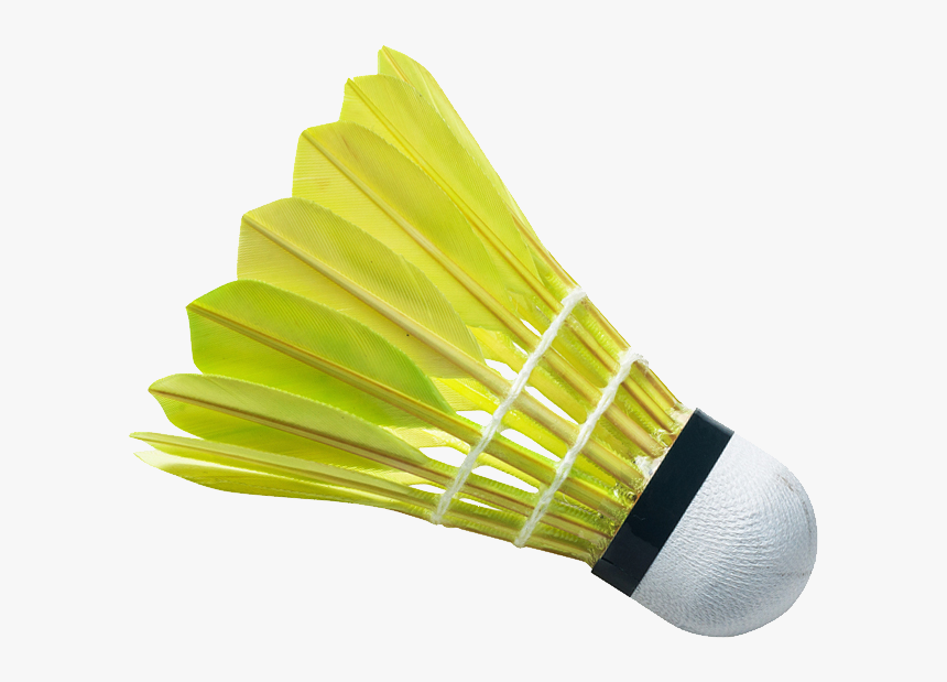 Sport,net Sports,speed Badminton,ball Game,ball,sports - Badminton Shuttlecock Png, Transparent Png, Free Download