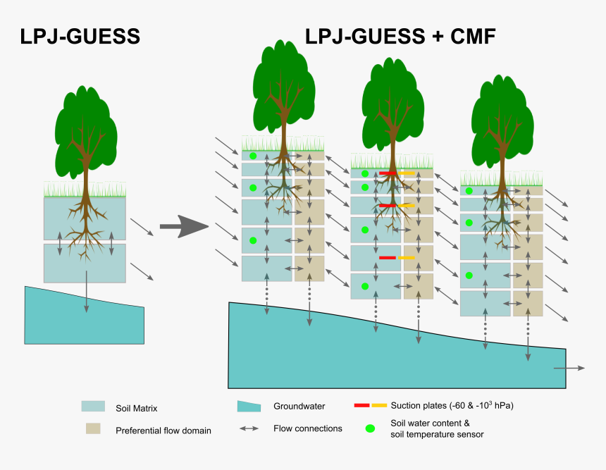 Diagram, HD Png Download, Free Download