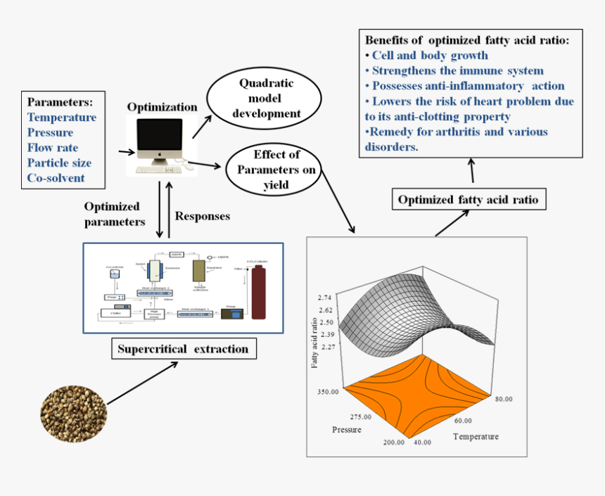 Diagram, HD Png Download, Free Download