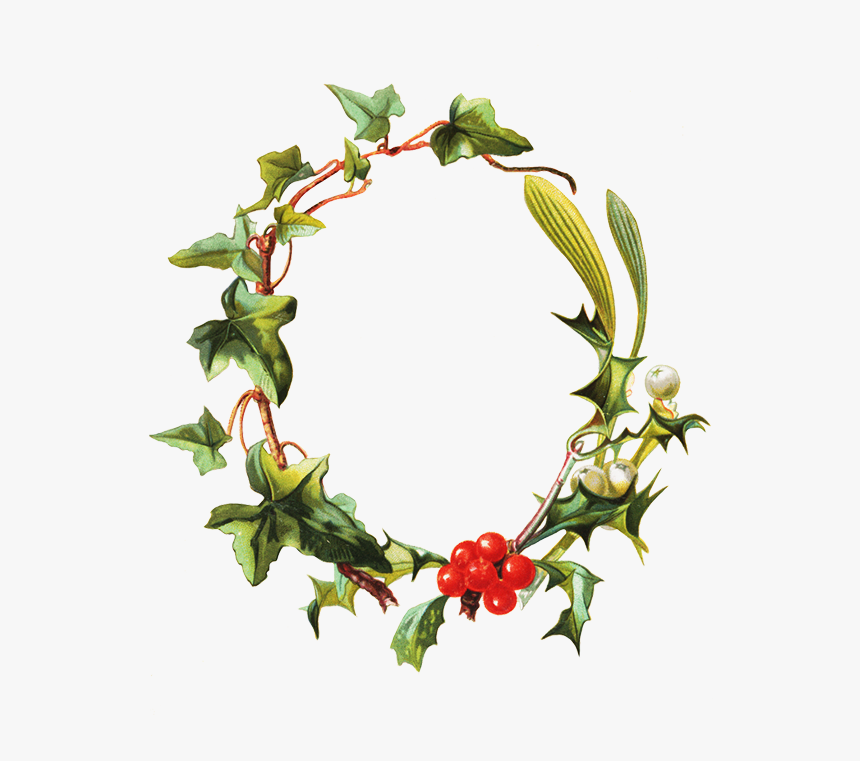 Frame Holy Mistletoe Ivy - Clip Art, HD Png Download, Free Download