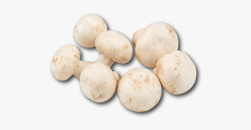 White Mushroom Png, Transparent Png, Free Download