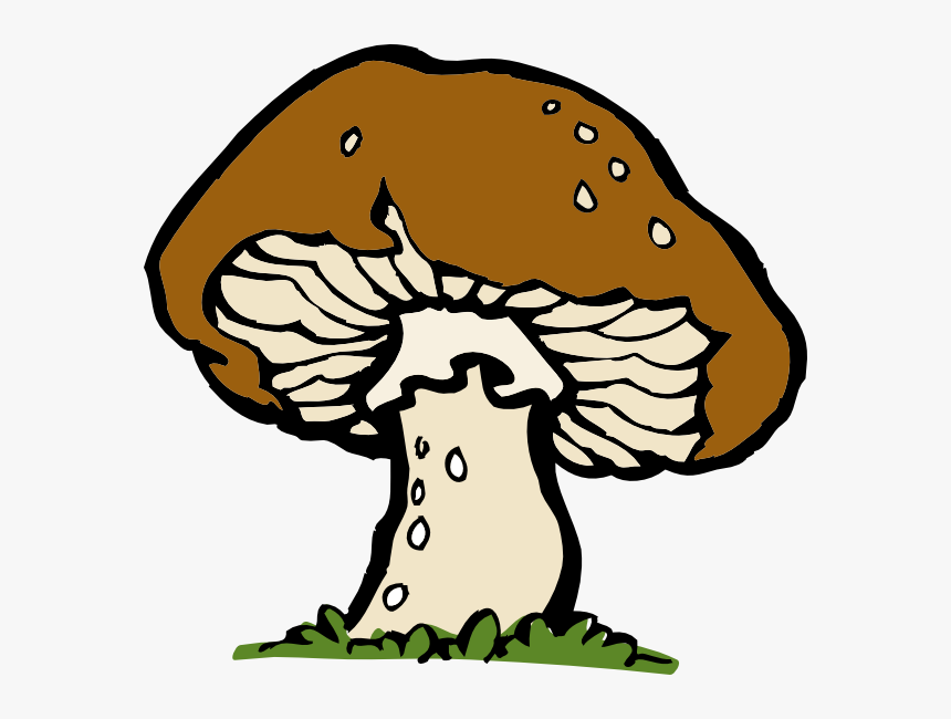 Mushroom Clipart, HD Png Download, Free Download