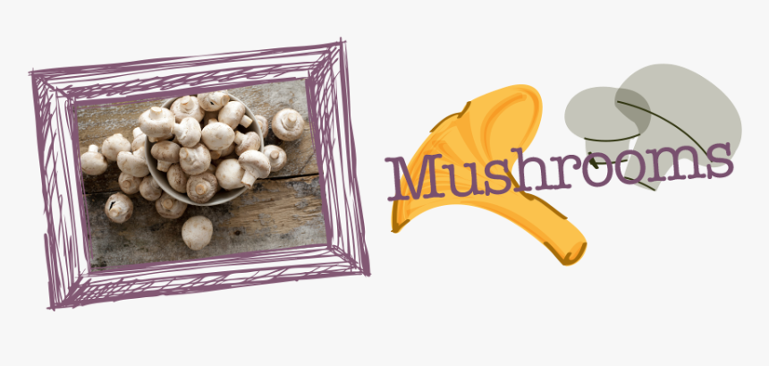 Mushrooms-2 - Champignon Mushroom, HD Png Download, Free Download