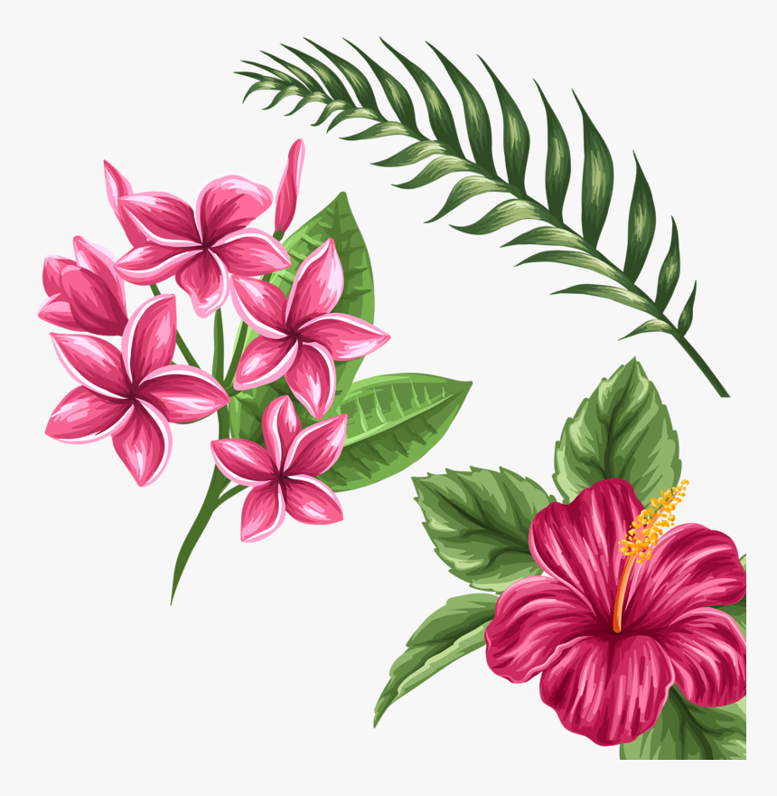 Hd A Ca F Orig Png Flowers - Transparent Tropical Flower Drawing, Png Download, Free Download