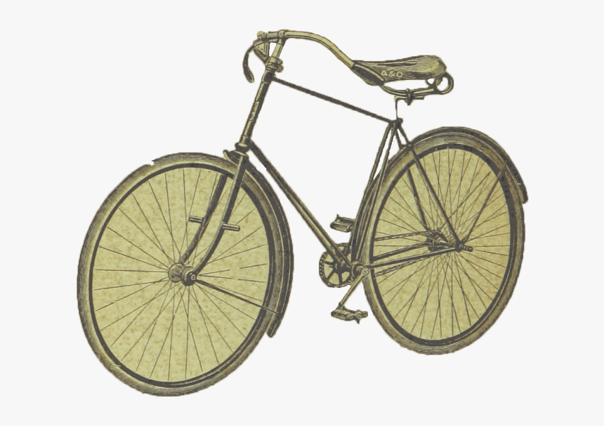 Vintage Bike Png - Road Bicycle, Transparent Png, Free Download