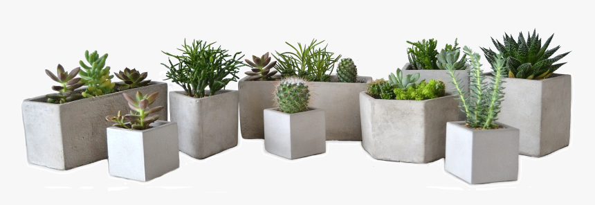 Flowerpot, HD Png Download, Free Download