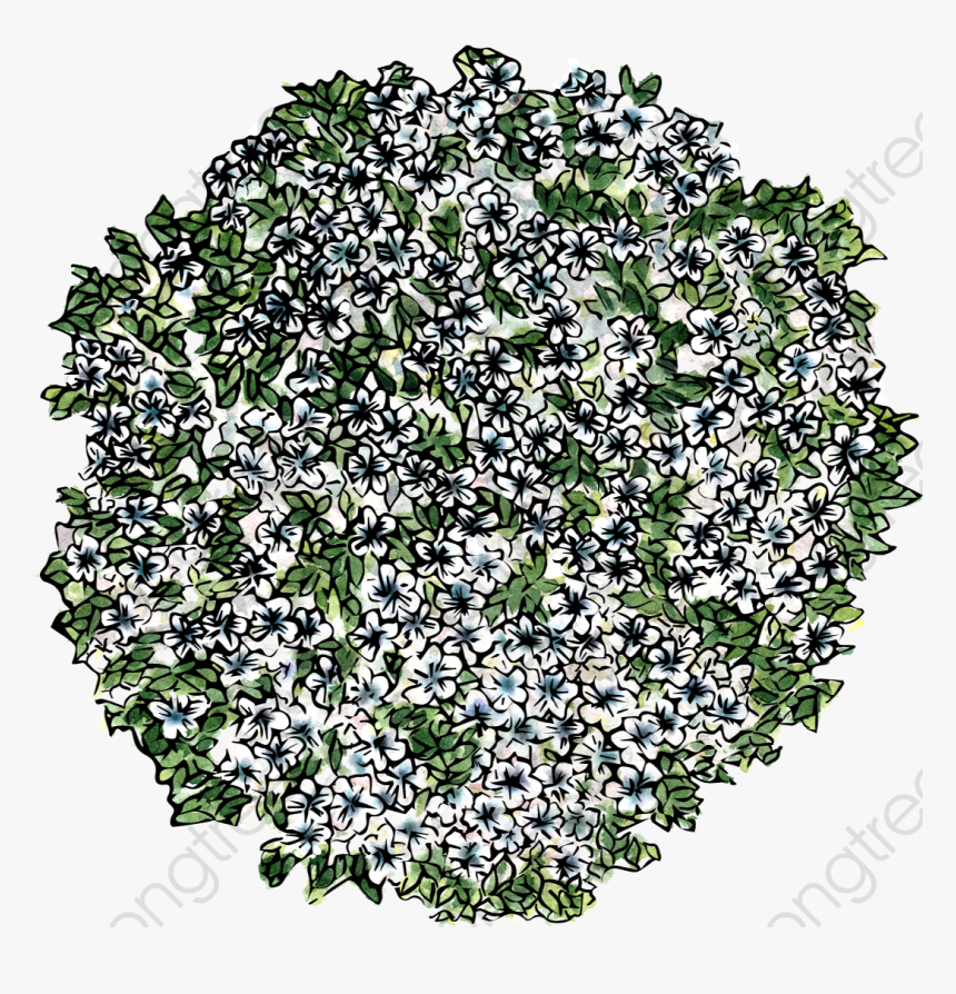 Green Leaf Flower Top View - Flowers Top View Png, Transparent Png, Free Download
