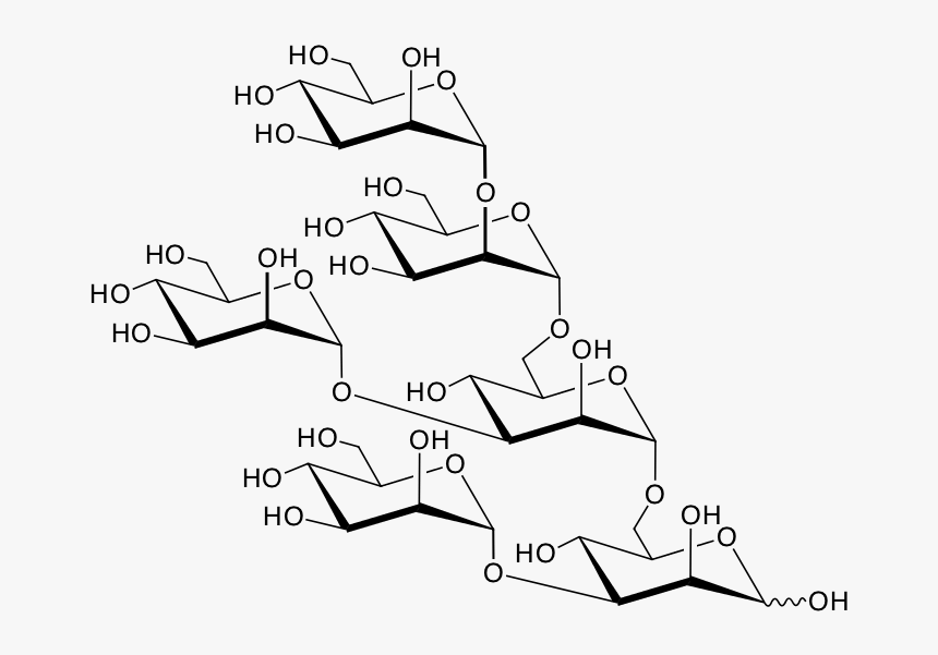 Structure Of Man - Stachyose, HD Png Download, Free Download