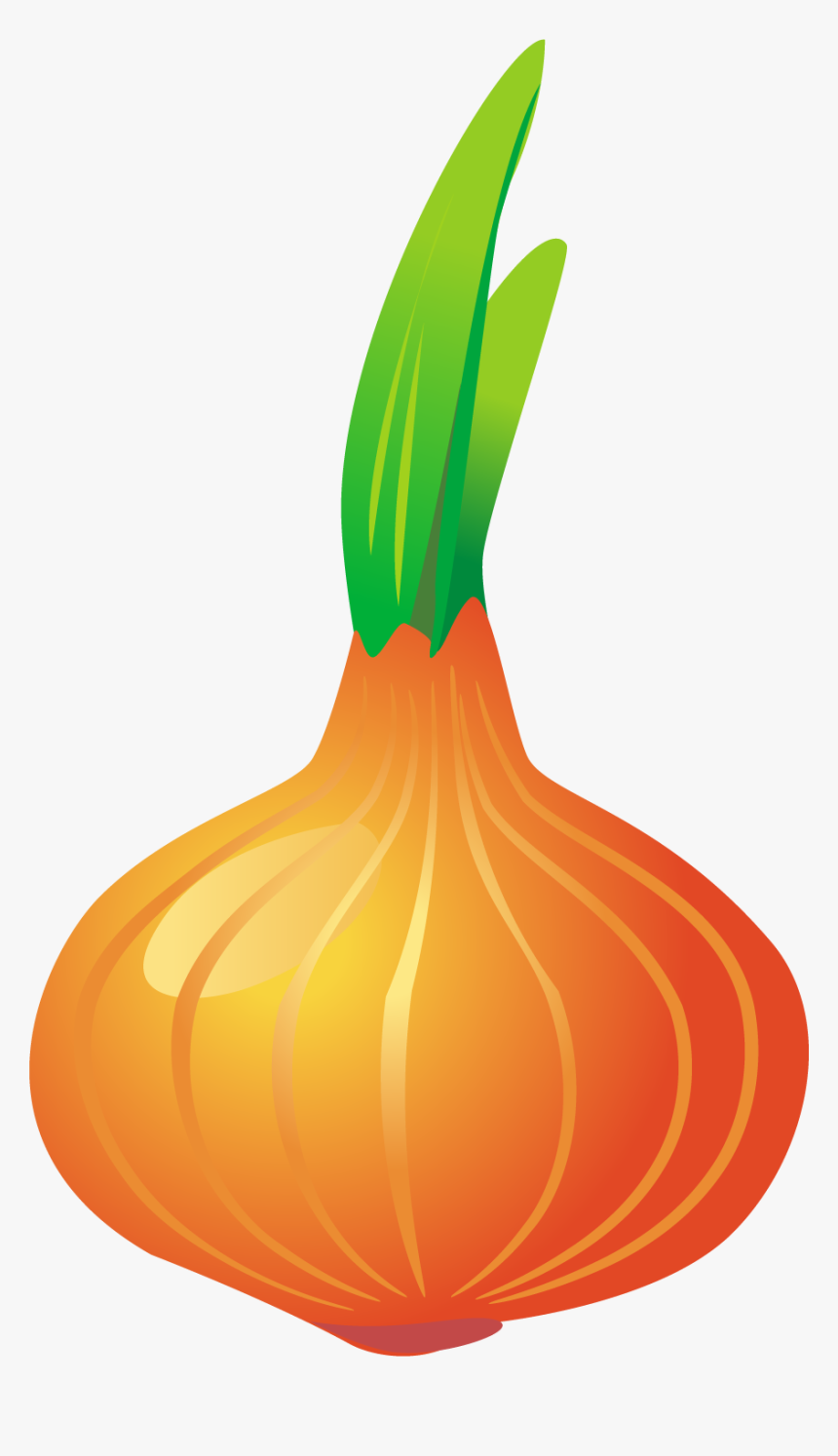 Onion, HD Png Download, Free Download