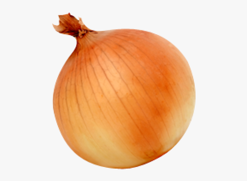 Onion Png Free Download - Transparent Background Onion Transparent, Png Download, Free Download