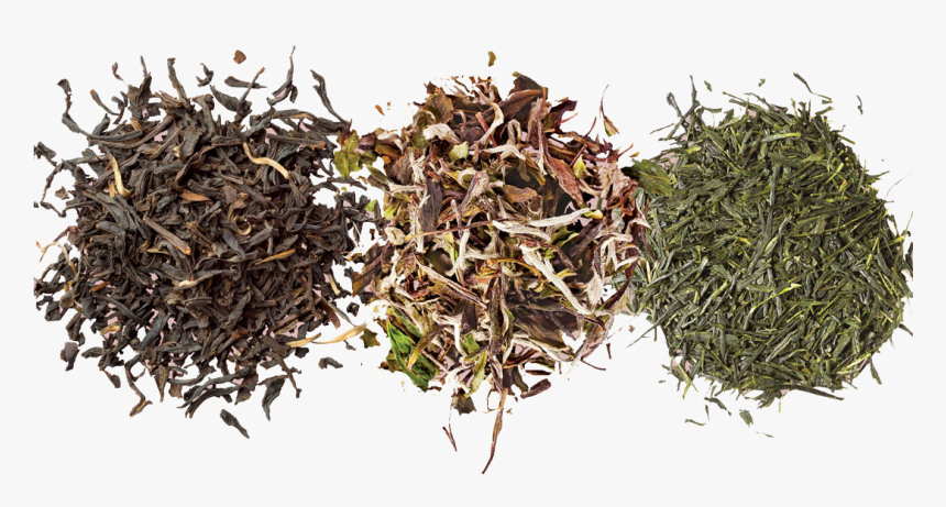 Black Tea - Grass - Tea Png, Transparent Png, Free Download