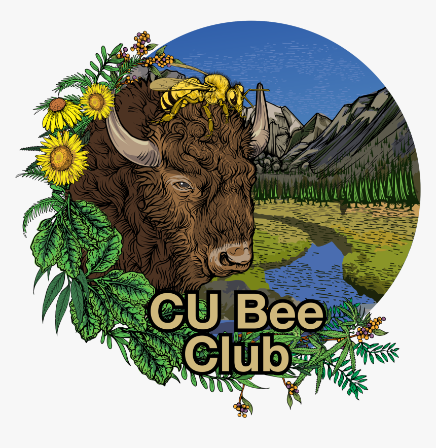 What"s In A Logo, HD Png Download, Free Download