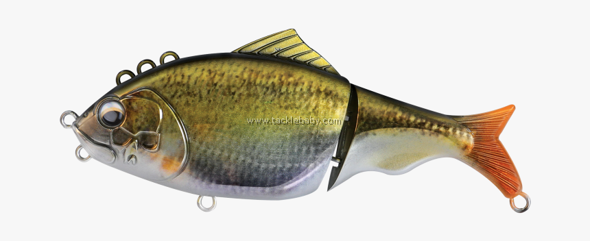 Bony-fish, HD Png Download, Free Download