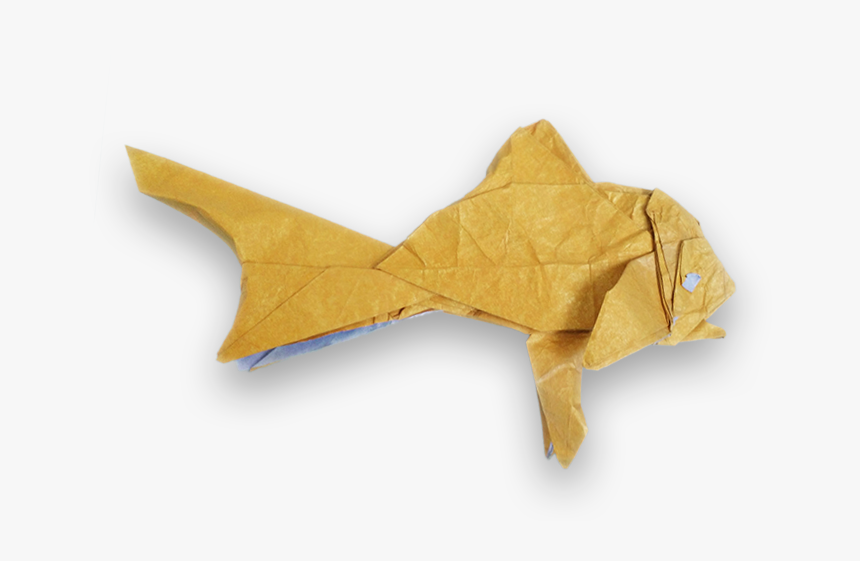 Golden Fish Shuki Kato - Origami, HD Png Download, Free Download