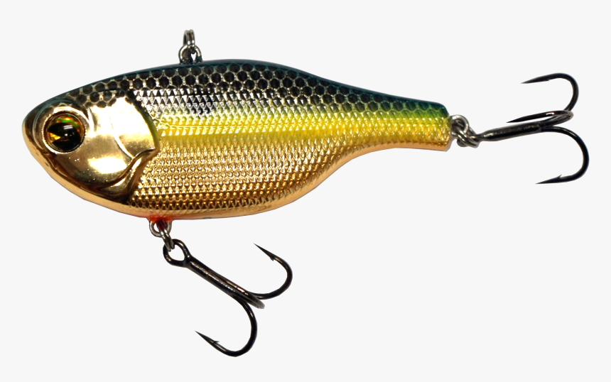 Fish, HD Png Download, Free Download