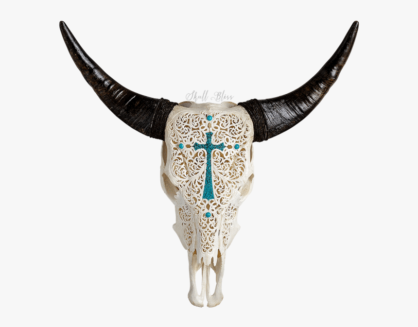 Carved Cow Skull // Xl Horns - Skull, HD Png Download, Free Download