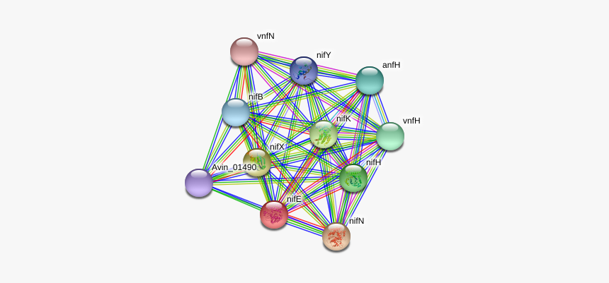 Nife Protein - Circle, HD Png Download, Free Download