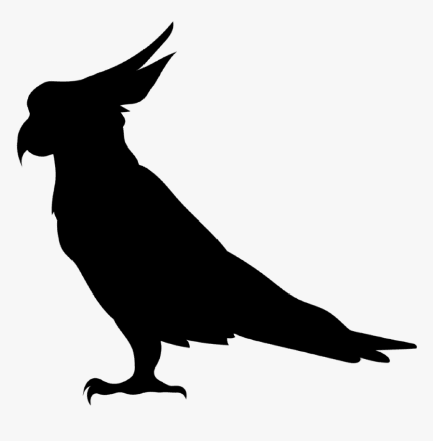 Parrot Silhouette Png Transparent Clip Art Image - Transparent Parrot Silhouette, Png Download, Free Download