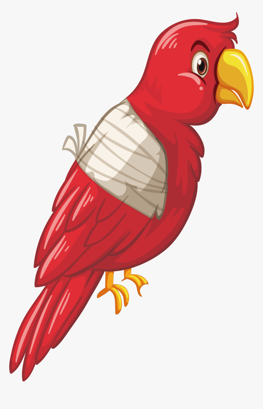 Vector Parrot Clipart - Injured Bird Clipart, HD Png Download, Free Download