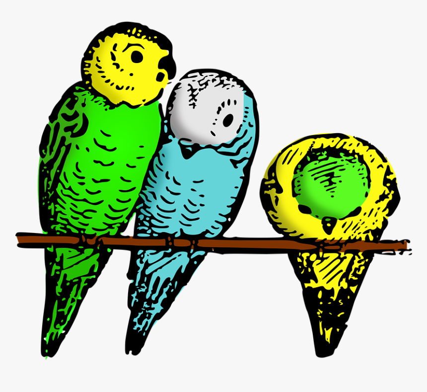 Art - Parakeet Graphics, HD Png Download, Free Download