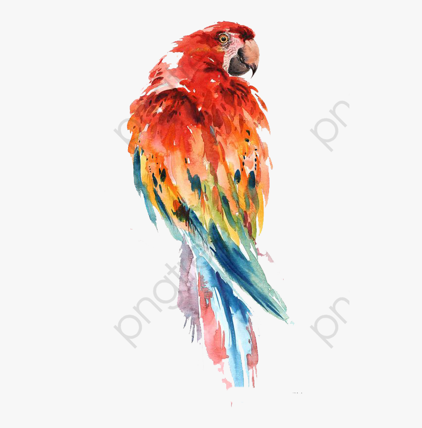 Parrot Clipart Abstract - Birds Watercolor Drawing, HD Png Download, Free Download