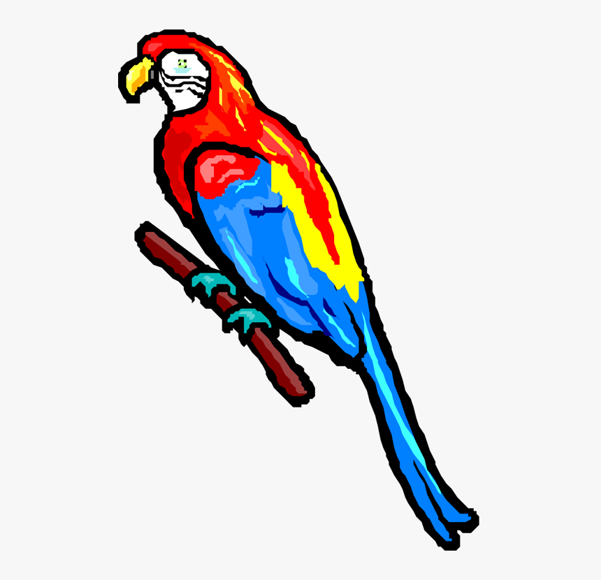 Jimmy Buffett Parrot, HD Png Download, Free Download