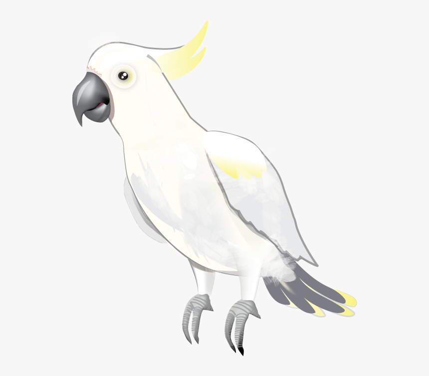 Parrot Clipart Cockatoo - Cockatoo Clip Art, HD Png Download, Free Download