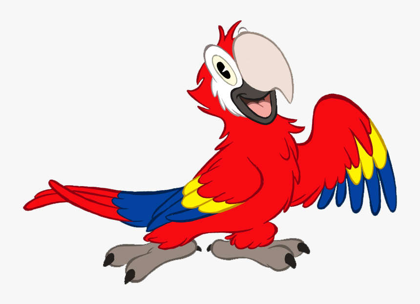 Clip Art Cartoon Parrots - Red Animals Names Clipart, HD Png Download, Free Download