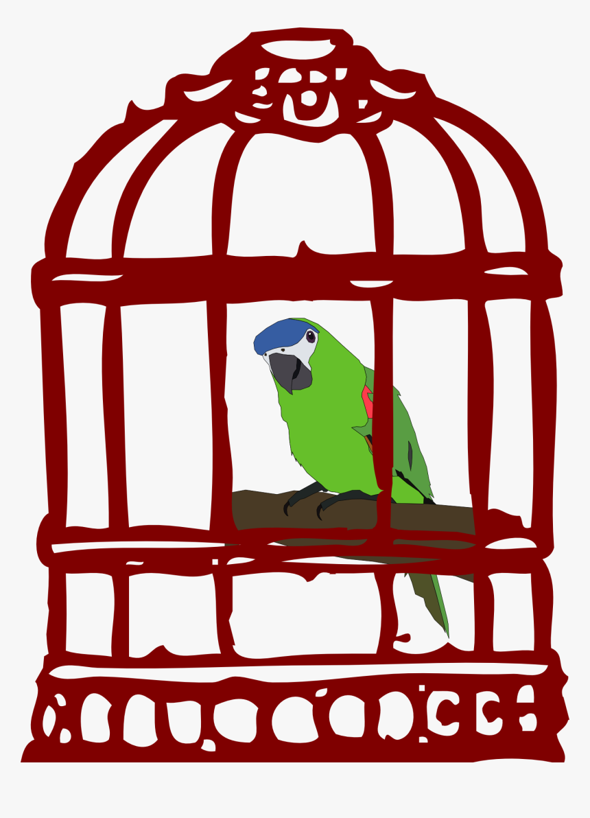 Bird In Cage Clipart, HD Png Download, Free Download