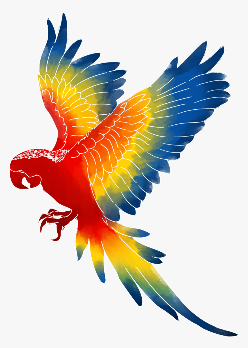 Macaw Bird Clipart Free Parrot And Macaw Clipart Macaw - Clipart Macaw Png, Transparent Png, Free Download