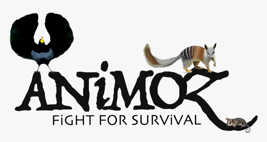 Fight For Survival - Abert's Squirrel, HD Png Download, Free Download