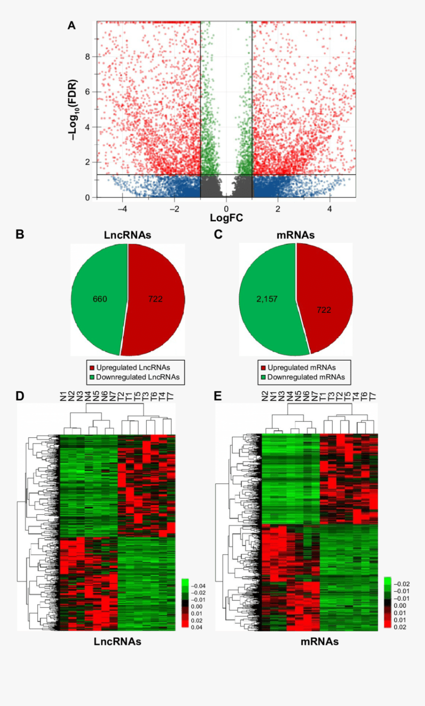 Rna Seq Volcano Plot Nature, HD Png Download, Free Download