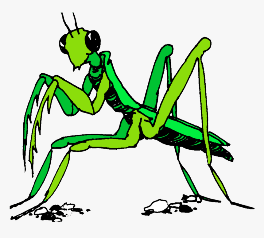 Praying Mantis Clipart Stick Insect - Praying Mantis Cartoon Art, HD Png Download, Free Download