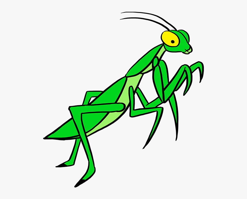 How To Draw Praying Mantis - Drawing Praying Mantis Step By Step, HD Png Download, Free Download