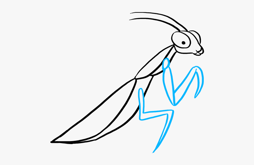 How To Draw Praying Mantis - Draw A Easy Praying Mantis, HD Png Download, Free Download