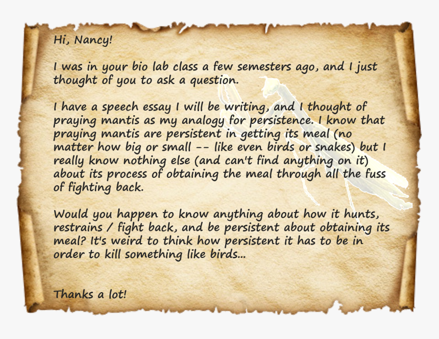 What I Imagine E-mails To Look Like - Tu Vales Mucho No Lo Olvides, HD Png Download, Free Download