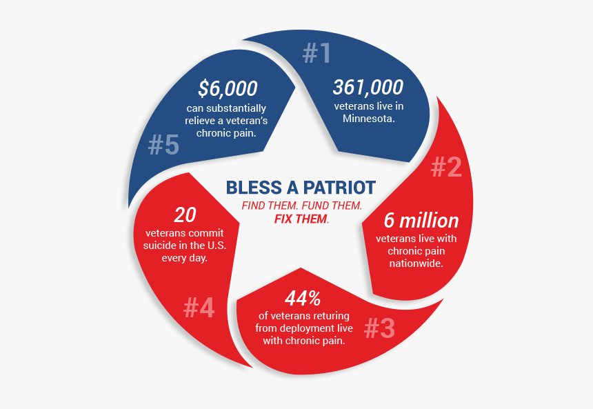 Pain Free Patriots Bless A Patriot Infographic - Label, HD Png Download, Free Download