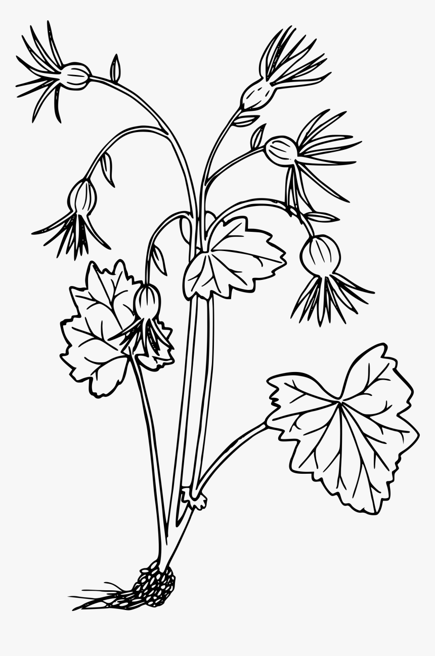 Oregon Bolandra Clip Arts - Wild Flowers Icon, HD Png Download, Free Download