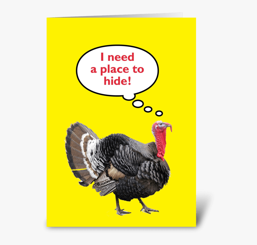 Happy Thanksgiving Greeting Card - Main Types Of Poultry, HD Png Download, Free Download