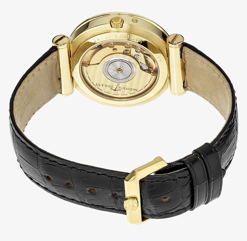 Isaac Newton Yellow Gold Automatic - Analog Watch, HD Png Download, Free Download