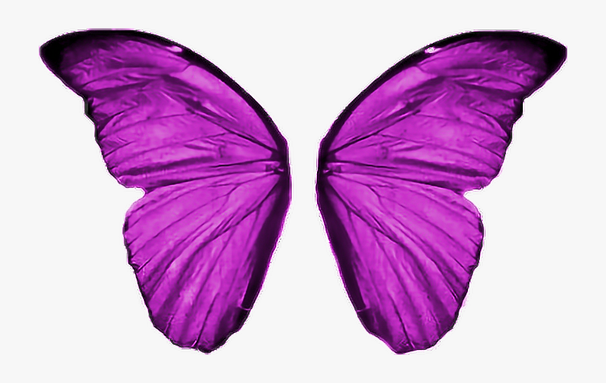 Transparent Borboleta Png - Asas De Borboleta Png, Png Download, Free Download